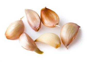 Garlic on white background