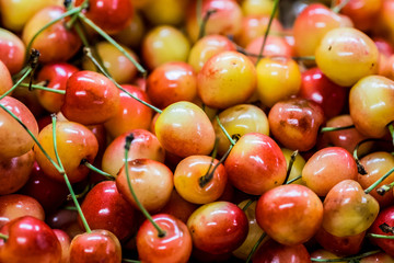 Cerises blanche Napoléon