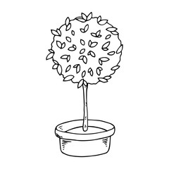 Home plants. Vector illustration of a home flower in a pot. Hand drawn homemade potted plant.