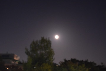 Obraz premium 神戸