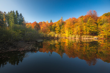 Autumn in the forest. Fall scene with forest lake in Bakony Forest and Mountain, Pisztrangos Lake, Hungary