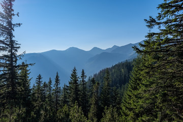 misty sunrise in Slovakian Tatra mountains with light lanes in fog over dark forest
