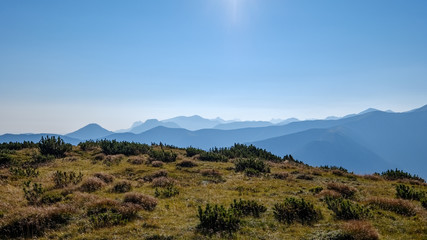 misty sunrise in Slovakian Tatra mountains with light lanes in fog over dark forest