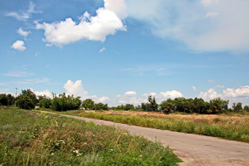 Landscape views of nature, fields, villages and roads of Ukraine. View from the car window when...
