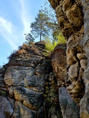 Микс моих фото)))