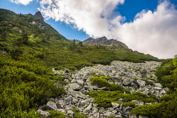Mountain Landscape with Rocks in Foreground