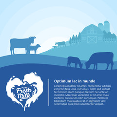 Vector milk illustration with cows, calves and farm