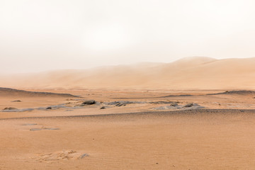 Fototapeta na wymiar A beautiful, desolate scene at Skeleton Coast, Namibia.