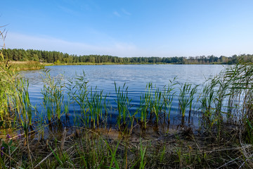 nature reflections in clear water in lake or river at countryside