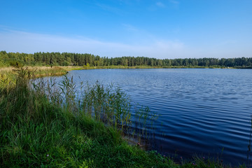 nature reflections in clear water in lake or river at countryside