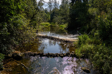 nature reflections in clear water in lake or river at countryside