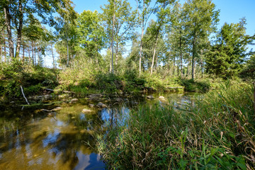 nature reflections in clear water in lake or river at countryside