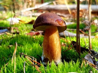 Микс моих фото)))