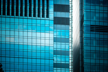 office building closeup and tree, business concept