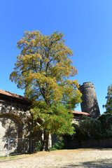 Stadtmauer Butzbach
