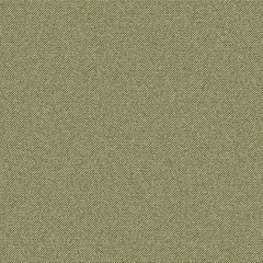 Green texture denim, vector background