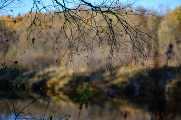 nature reflections in clear water in lake or river at countryside