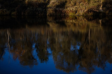 nature reflections in clear water in lake or river at countryside