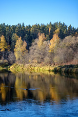 nature reflections in clear water in lake or river at countryside