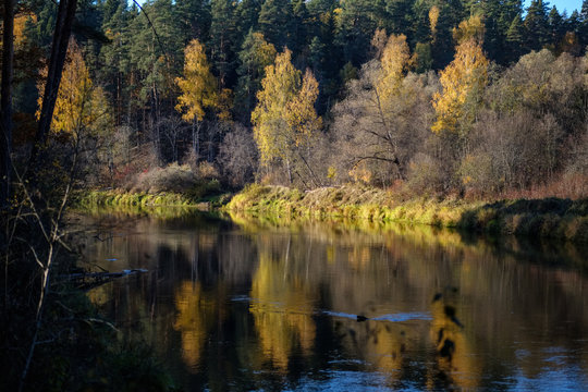 nature reflections in clear water in lake or river at countryside © Martins Vanags