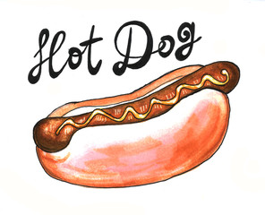 Hand drawn sausage hot dog fast food illustration