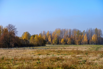 empty field in late autumn