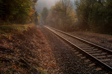 Fototapeta premium straight long rails leading between colorful trees at sunset in autumn