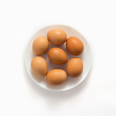 Egg, Chicken Eggs in plate on white background top view