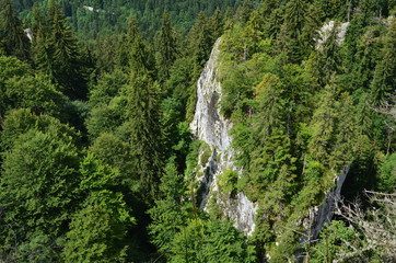 panoramic view of the mountains