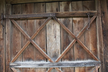 Naklejka premium tree, wood, door