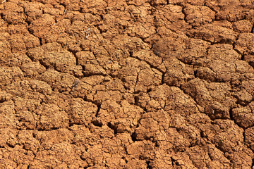 large cracks in the ground due to prolonged drought. The ground has become hard and therefore nothing grows
