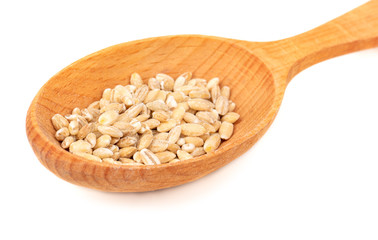 Pearl barley in spoon