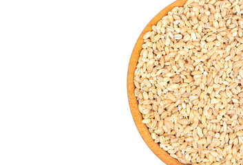 Barley groats in bowl