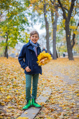 Beautiful child boy in the autumn nature