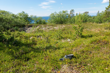 The coastal strip of the White Sea and tundra vegetation on the island of Anzersky