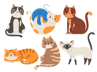 Obraz na płótnie Canvas Cute cats. Fluffy cat, sitting kitten character or domestic animals isolated vector illustration collection