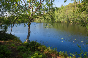 Fototapeta na wymiar Forest lake and vegetation on Anzersky Island, Arkhangelsk Region, Russia