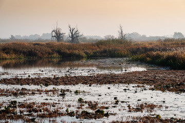 Jesień w Krainie Górnej Narwi - Podlasie - Polska © podlaski49