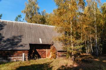 Jesień w Krainie Górnej Narwi - Podlasie - Polska © podlaski49