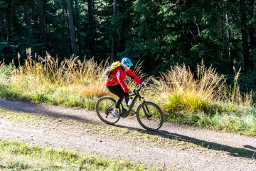 Obraz premium E-Bike Fahrerin auf Forstweg durch Wald