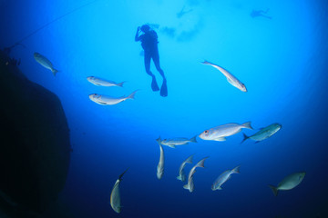 Obraz na płótnie Canvas Scuba divers underwater on coral reef 