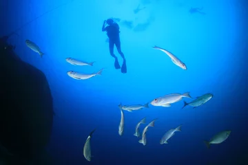  Scuba divers underwater on coral reef  © Richard Carey