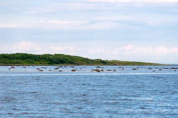 Anzer Island. Solovetsky Islands. White Sea Coast