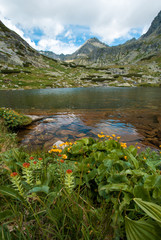 mountain landscape © Uroš Medved