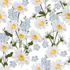 Seamless pattern with chamomiles and forget-me-not flowers couple. Hand-drawn illustration on white background.