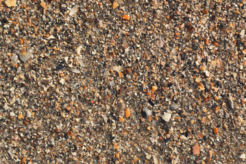 texture of crushed seashells