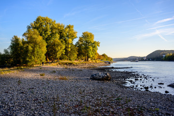 Der Rhein bei Niedrigwasser