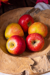 Malus sylvestris, the tasty European crab apple,