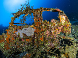 Plakat Curacao Underwater world