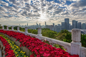 Shenzhen Lianhuashan City Landscape